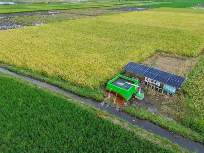 Foto udara irigasi lahan pertanian padi yang dialiri pompa air tenaga surya di Desa Labruk Kidul, Lumajang, Jawa Timur, Kamis (5/12/2024). Pompa air tenaga surya yang per unit dapat mengairi 10 hektar lahan pertanian tersebut merupakan bantuan dari Kementerian Pertanian dengan total 94 unit di sembilan kecamatan sebagai upaya peningkatan produktivitas pertanian di wilayah itu. ANTARA FOTO/Irfan Sumanjaya/rwa.