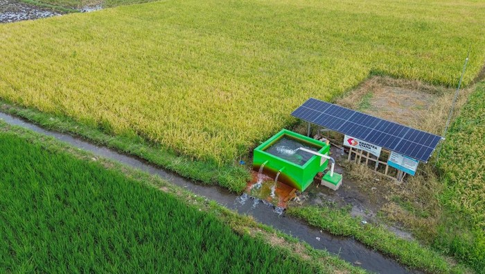 Foto udara irigasi lahan pertanian padi yang dialiri pompa air tenaga surya di Desa Labruk Kidul, Lumajang, Jawa Timur, Kamis (5/12/2024). Pompa air tenaga surya yang per unit dapat mengairi 10 hektar lahan pertanian tersebut merupakan bantuan dari Kementerian Pertanian dengan total 94 unit di sembilan kecamatan sebagai upaya peningkatan produktivitas pertanian di wilayah itu. ANTARA FOTO/Irfan Sumanjaya/rwa.