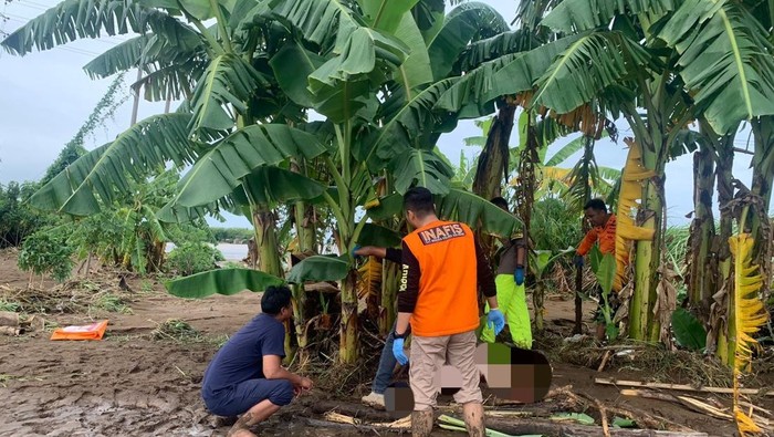 Lokasi penemuan mayat tersangkut pohon pisang di Sukabumi