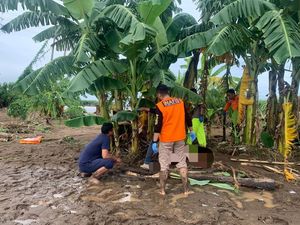 6 Fakta Terungkapnya Identitas Mayat Tersangkut Pohon Pisang