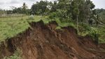 Longsor Timbun Sawah-Kandang Ternak Warga di Tasikmalaya