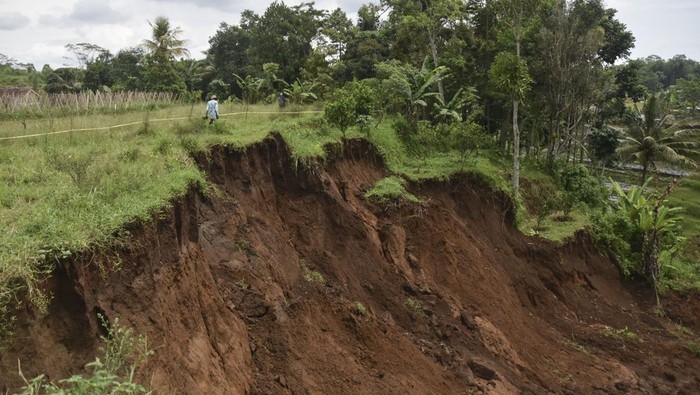 Longsor Timbun Sawah-Kandang Ternak Warga di Tasikmalaya Seorang warga melintas di dekat lokasi tanah longsor pertanian di Desa Sukahening, Kabupaten Tasikmalaya, Jawa Barat, Kamis (5/12/2024). Curah hujan yang tinggi di Kabupaten Tasikmalaya mengakibatkan lahan pertanian dan kandang ternak milik warga tertimbun tanah longsor dan tiga rumah terancam longsor susulan. ANTARA FOTO/Adeng Bustomi/tom.