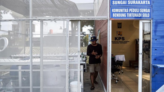 Memanfaatkan Bantaran Sungai Jadi Tempat Budi Daya Lele Relawan Komunitas Peduli Sungai (KPS) memberi makan ikan lele budi daya di Rumah Hidroponik Bendung Tirtonadi, Solo, Jawa Tengah, Kamis (5/12/2024). Balai Besar Wilayah Sungai (BBWS) Bengawan Solo membangun rumah hidroponik di bantaran sungai untuk dikelola komunitas warga sekitar sehingga mampu bermanfaat secara ekonomi sekaligus menjadi sarana edukasi masyarakat untuk menjaga kebersihan dan kelestarian sungai. ANTARA FOTO/Mohammad Ayudha/rwa.