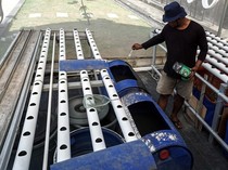 Memanfaatkan Bantaran Sungai Jadi Tempat Budi Daya Lele