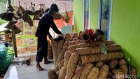 Nur Hasan (40) ialah salah satu promotor pembuat kerajian eceng gondok tersebut. Bersama 11 pekerja, mereka mampu memproduksi kerajinan seperti tas, topi, hiasan lampu hingga tempat burung hias.