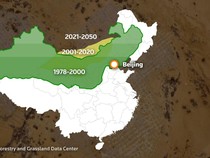 Tanam Pohon Selama 46 Tahun, China Sulap Gurun Kering & Panas Jadi Hutan