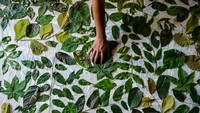 Produksi kain ecoprint dengan menggunakan bahan alami yang dipasarkan ke sejumlah daerah seperti Palembang, Lampung dan Jakarta tersebut dijual seharga Rp 175 ribu - Rp 250 ribu, tergantung bahan dan tingkat kesulitan.  
