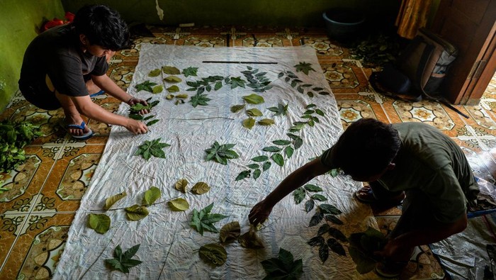 Produksi kain ecoprint di Kabupaten Serang Perajin membuat kerajinan kain ecoprint di Desa Pemanuk, Carenang, Kabupaten Serang, Banten, Kamis (5/12/2024). Produksi kain ecoprint dengan menggunakan bahan alami yang dipasarkan ke sejumlah daerah seperti Palembang, Lampung dan Jakarta tersebut dijual seharga Rp175 ribu - Rp250 ribu, tergantung bahan dan tingkat kesulitan. ANTARA FOTO/Putra M. Akbar/gp/rwa.
