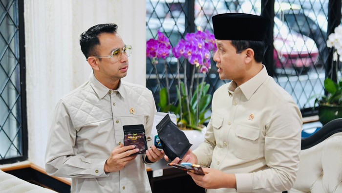 Raffi Ahmad
