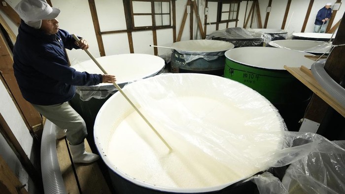 Seasonal employee Shigeru Kikuchi sifts koji mold over steamed rice in a Japanese sake making process at her Koten sake brewery in Okaya, Nagano prefecture, central Japan, Saturday, Nov. 30, 2024. (AP Photo/Hiro Komae)