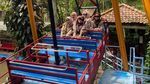 Liburan Seru di Dago Dream Park Alam dan Hiburan Bersatu