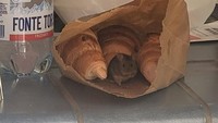 Membeli roti untuk sarapan, kesalahan terbesar yang dilakukan netizen ini ialah tak menutup kantungnya. Saat hendak dimakan ada tikus kecil yang lebih dahulu menyantap rotinya. Foto: Bored Panda