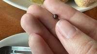 Mencoba restoran seafood di Manila, Filipina seorang pelanggan dapat hadiah spesial. Ada sebuah mutiara kecil yang terdapat dalam kerang pesanannya. Foto: Bored Panda