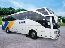 DAMRI Beri Diskon Tiket 10%, Ini Ketentuannya