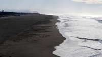 Gempa itu memicu peringatan tsunami yang kemudian dibatalkan untuk sebagian besar pantai California dan Oregon. AP Photo/Emily Steinberger.
