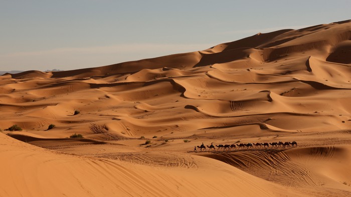 A camel caravan moves along the dunes at the Erg Chebbi sand dunes in the Sahara desert outside Merzouga, Morocco December 5, 2024. REUTERS/Darrin Zammit Lupi