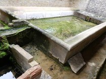 6 Cara Menghilangkan Lumut di Kolam Beton, Anti Ribet dan Ekonomis