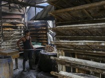 Impor Kedelai Capai 2,6 Juta Ton Sampai Akhir 2024