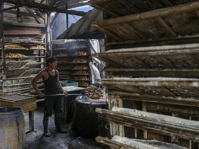 Impor Kedelai Capai 2,6 Juta Ton Sampai Akhir 2024