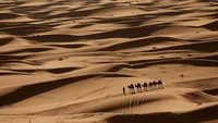 Di Erg Chebbi kita akan menemui pasir  yang lembut dengan kontur pasir yang terbentuk memiliki gunung, bukit dan lembah pasir yang menakjubkan. Kawasan itu terbentuk dari hembusan angin kencang yang datang dari berbagai arah.