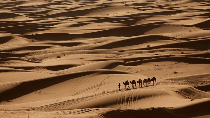 A man stands at the top of a dune at the Erg Chebbi sand dunes in the Sahara desert outside Merzouga, Morocco December 5, 2024. REUTERS/Darrin Zammit Lupi