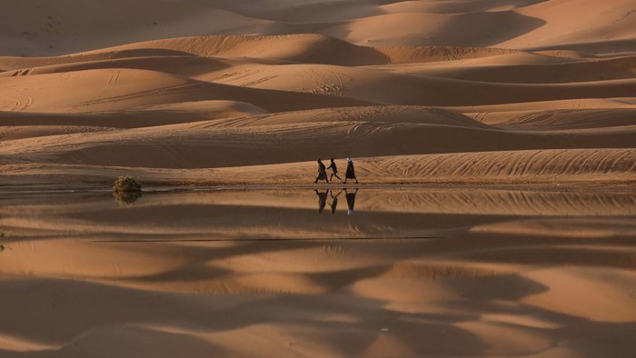 A man stands at the top of a dune at the Erg Chebbi sand dunes in the Sahara desert outside Merzouga, Morocco December 5, 2024. REUTERS/Darrin Zammit Lupi