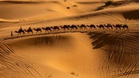 Sebuah karavan unta berjalan di sepanjang bukit pasir Erg Chebbi di gurun Sahara di luar Merzouga, Maroko, Kamis (5/12/2024).