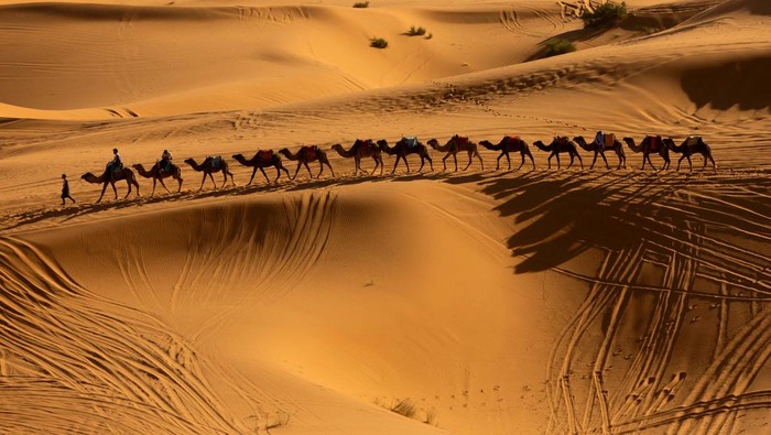 A man stands at the top of a dune at the Erg Chebbi sand dunes in the Sahara desert outside Merzouga, Morocco December 5, 2024. REUTERS/Darrin Zammit Lupi