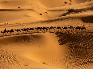 Menikmati Pesona Gurun Sahara Erg Chebbi di Maroko