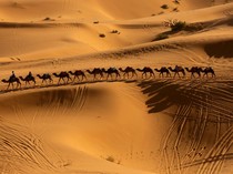Menikmati Pesona Gurun Sahara Erg Chebbi di Maroko