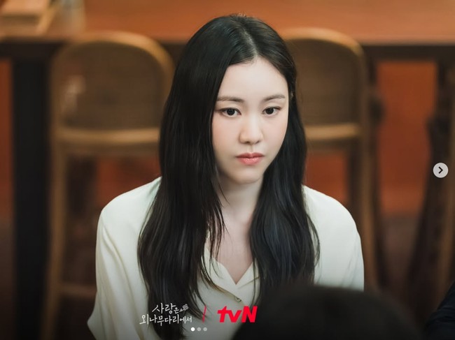 Pemain Drama Korea Love Your Enemy