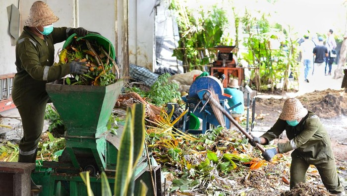Pekerja melakukan proses pengolahan sampah organik untuk dijadikan pupuk kompos di Waterbom Bali, Badung, Bali, Kamis (5/12/2024). Pengelola destinasi wisata air tersebut setiap harinya mengolah sekitar 800 kilogram sampah organik yang dikumpulkan dari kawasan wisata itu menjadi pupuk kompos yang digunakan untuk perawatan tanaman di kawasan guna meminimalisir pembuangan sampah ke tempat pembuangan akhir sebagai upaya menjaga lingkungan dan mendukung pariwisata berkelanjutan. ANTARA FOTO/Fikri Yusuf/YU