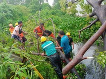 Warga Makassar Harus Waspada Angin Kencang Selama Cuaca Ekstrem