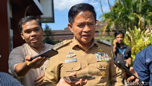 Pj Gubernur NTB Hassanudin. (Nathea Citra/detikBali).