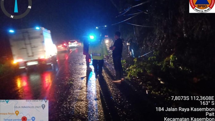 Pohon sono tumbang di Malang