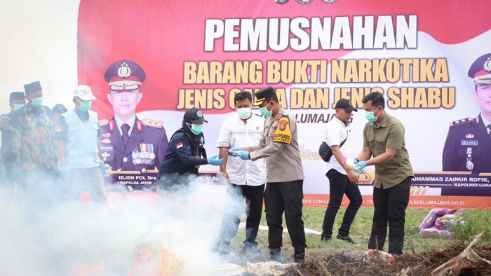 Polres Lumajang musnhakan ribuan tanaman ganja dengan cara dibakar