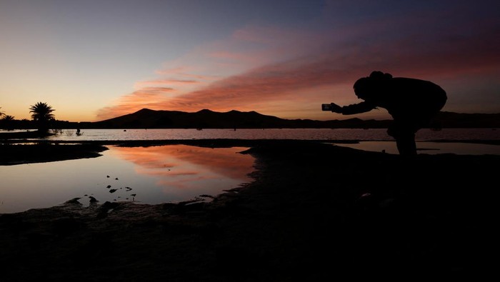 Potret Gurun Sahara yang Masih Terendam Banjir A man stands near sand dunes and palm trees partially covered by floodwaters, after rare rainfall hit the area last September, at sunrise in Merzouga, Morocco December 5, 2024. REUTERS/Darrin Zammit Lupi