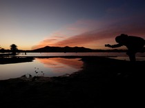 Potret Gurun Sahara yang Masih Terendam Banjir