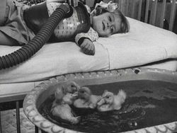 Foto Bersejarah dan Cerita di Baliknya, Bikin Terenyuh