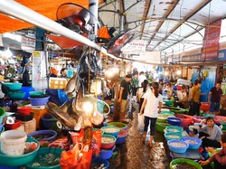 Biasa Dijual di Pasar, Makhluk Laut Bermulut Besar Ternyata Spesies Baru