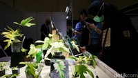Pameran tanaman hias itu mengusung tema Evolutionary & Revolutionary Elegance: The Beauty of Genetic Diversity in Floriculture.  