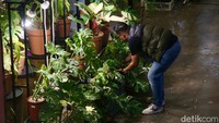 FLOII Expo diikuti oleh lebih dari 150 peserta dari dalam dan luar negeri seperti Thailand, Taiwan, Singapura, Ekuador, Amerika Serikat, dan Vietnam.  