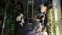 Pameran ini menjadi ajang inspirasi bagi pelaku dan pecinta tanaman hias melalui beragam talkshow dan workshop bersama para pakar di bidangnya.  