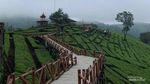 Sky Bridge, Spot Menikmati Indahnya Hamparan Kebun Teh di Pangalengan