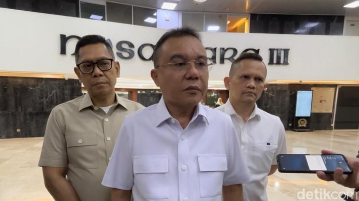 Wakil Ketua DPR Dasco. (Firda Cynthia Anggrainy/detikcom).