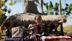 Eksotis Tenun Sumba Keindahan Wastra dari Timur