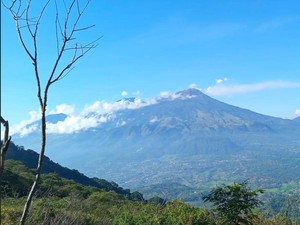 Gunung Bekel Mojokerto: Menyatu dengan Alam di Puncak yang Memukau