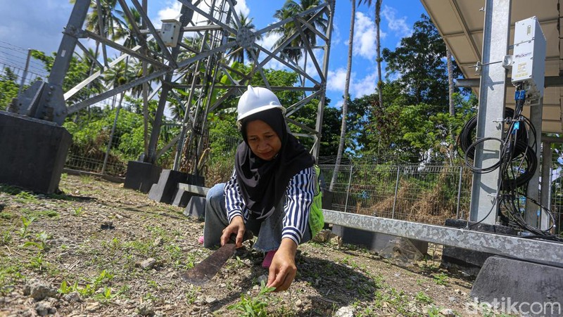 Teknisi mengecek tower Base Transceiver Station (BTS) di Wawonii, Konawe Kepulauan.
