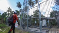 Teknisi mengecek tower Base Transceiver Station (BTS) di Wawonii, Konawe Kepulauan.
