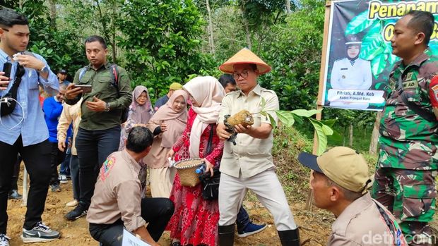 Mendes Yandri menanam dan racik kopi luwak BUMDes Mekar Jaya di Desa Prangat Baru.